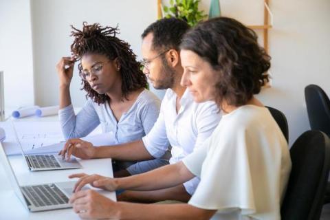Building for the Long Game: Charlotte WordPress Developers and Sustainable Sites