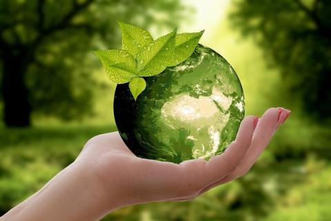 Why Purpose-Driven Marketing Matters More in Sustainable Businesses