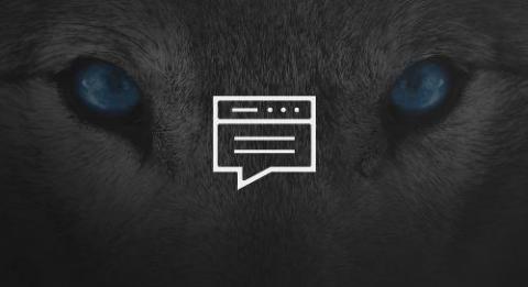 Arctic Wolf