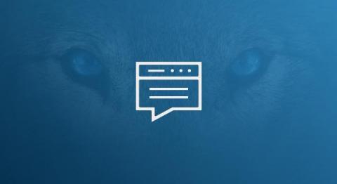 Arctic Wolf