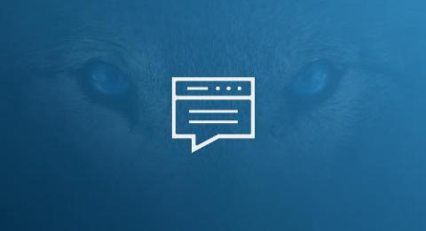 Arctic Wolf
