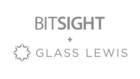 bitsight