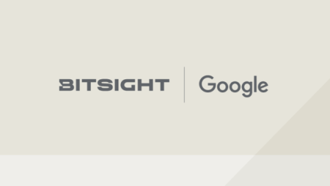 bitsight