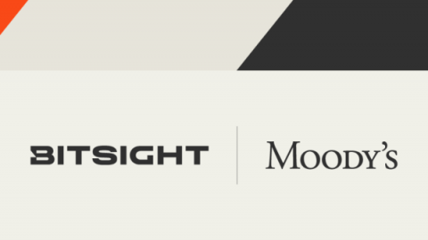 bitsight