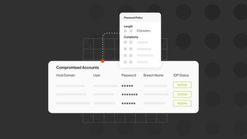 bitsight