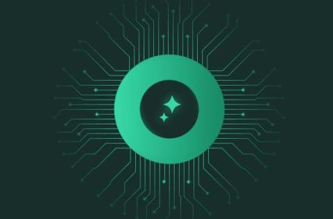 cato networks