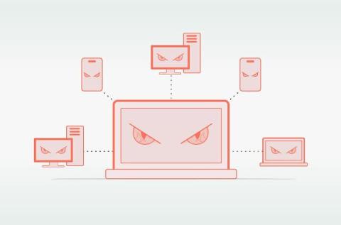 cato networks