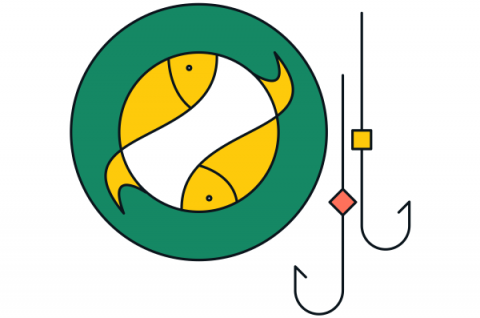 cato networks