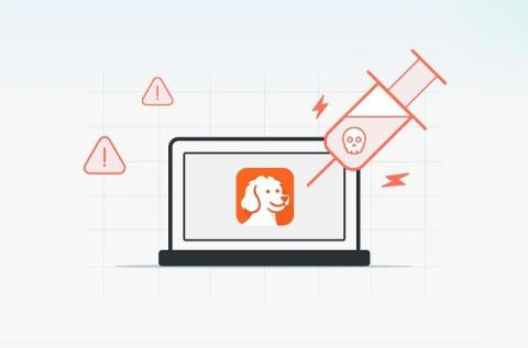 cato networks