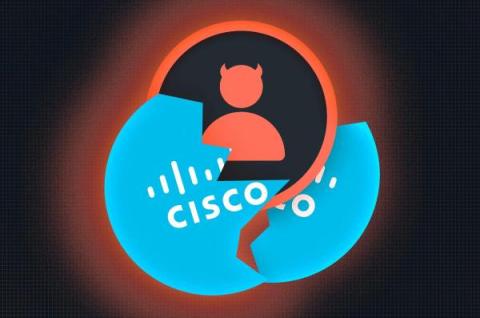 cato networks