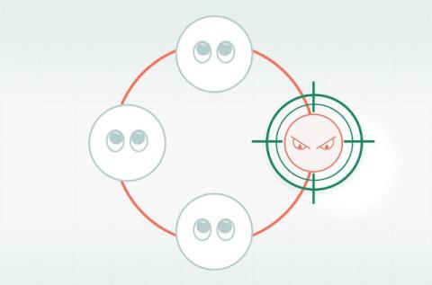cato networks