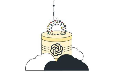 cato networks