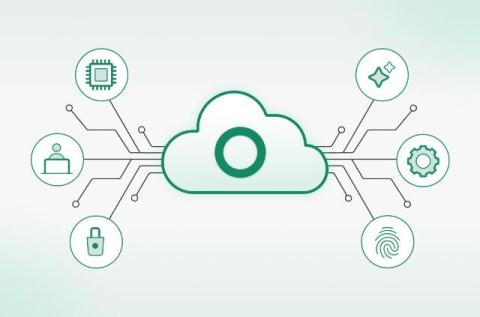 cato networks