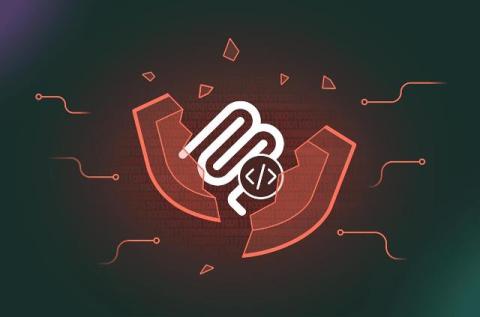 cato networks