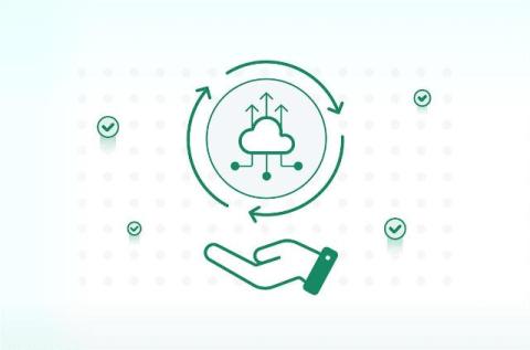 cato networks