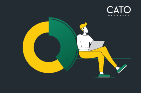 cato networks