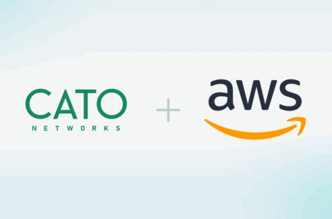 cato networks