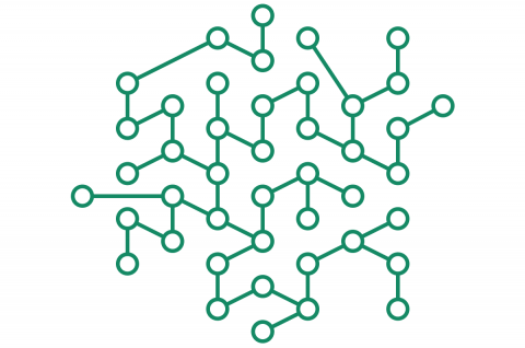 cato networks