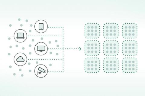 cato networks