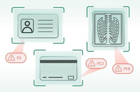 cato networks