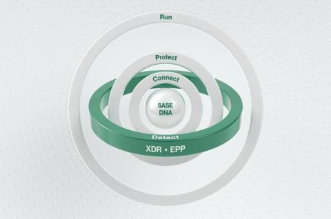 cato networks