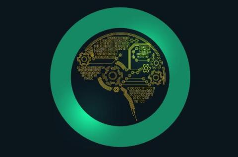 cato networks