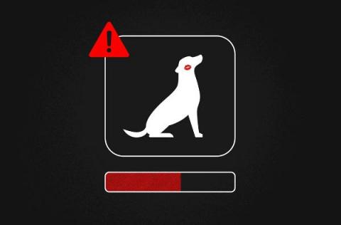 CrowdStrike