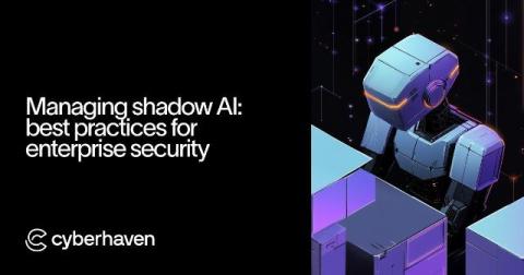 cyberhaven