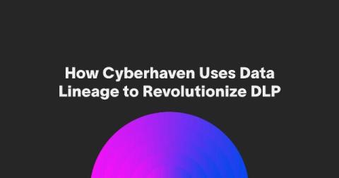 cyberhaven