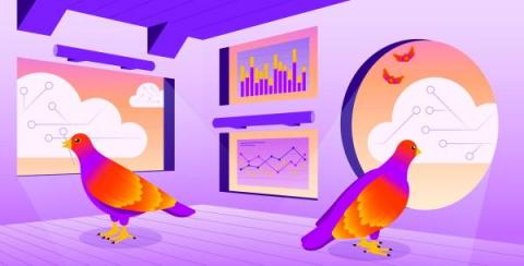 datadog