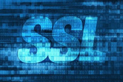 OV vs EV SSL Explained: Validation, Security, and Business Impact