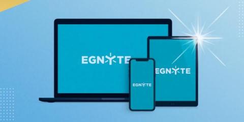 egnyte