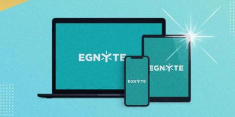 egnyte