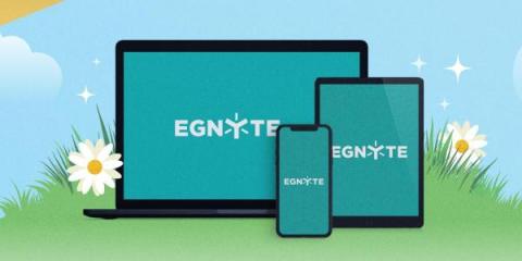 egnyte