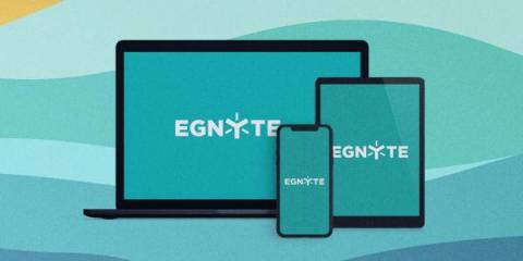 egnyte
