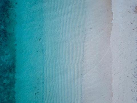 egnyte
