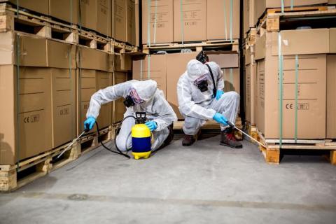 The Benefits of Professional Pest Control and Why It's a Smart Investment
