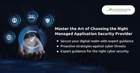 komodo consulting