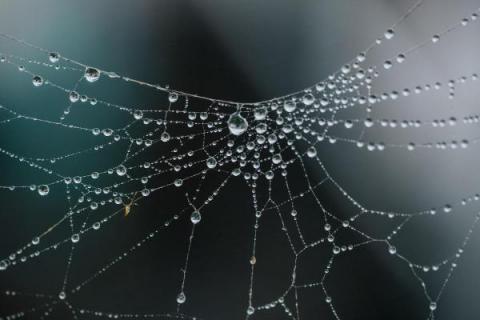 netacea
