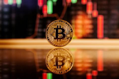 What Should You Know About Digital Risk Management Before Investing in Crypto?