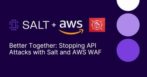 salt security