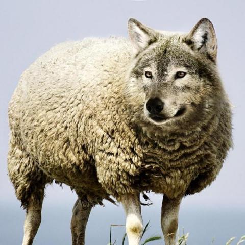 splunk