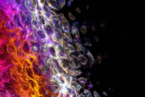 splunk