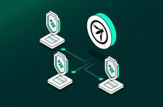 cato networks